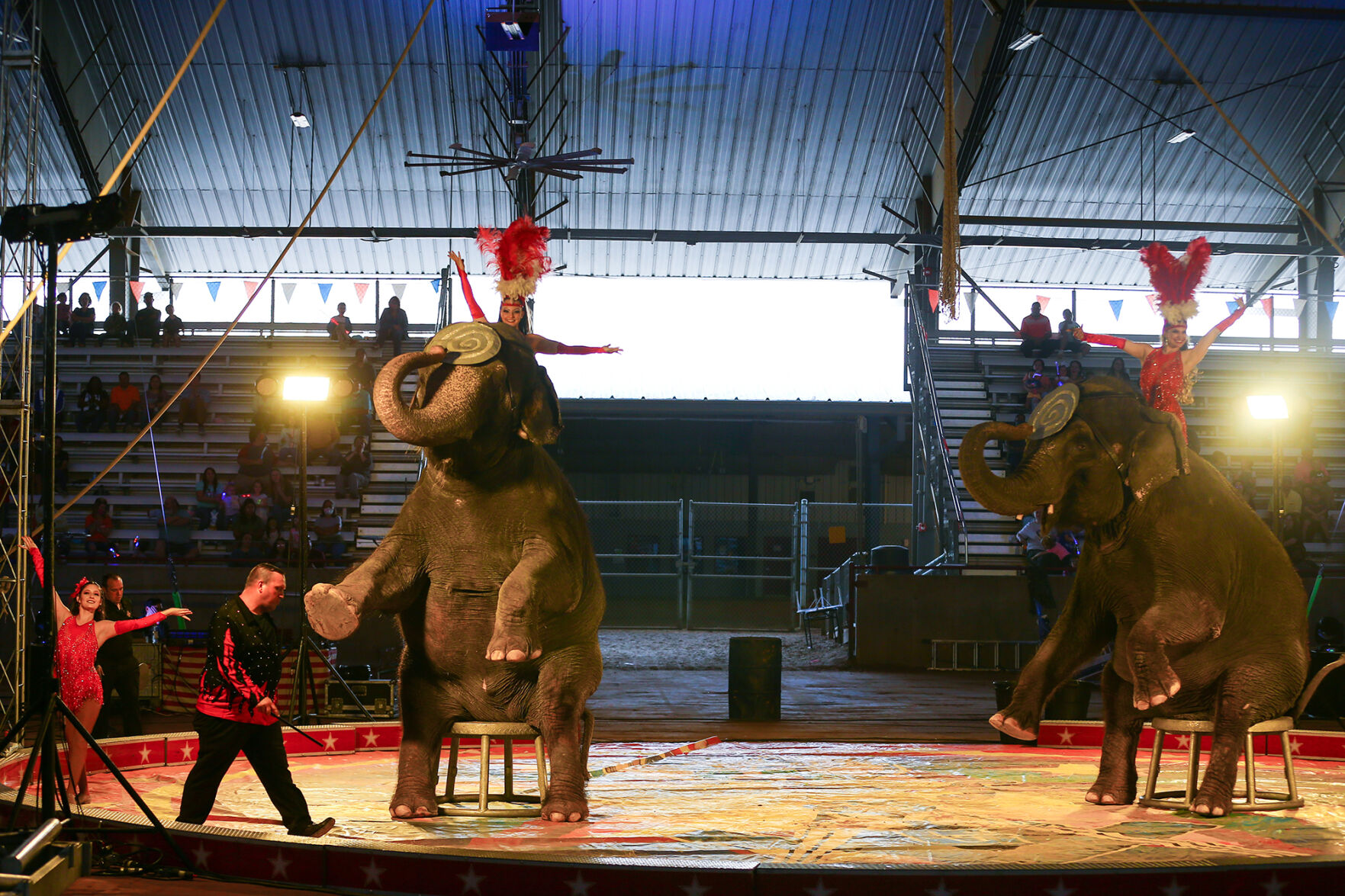 Carden Circus